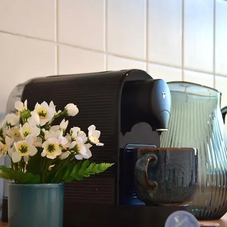 Charmanter Altbau In Schleussig Mit Balkon لبسيا