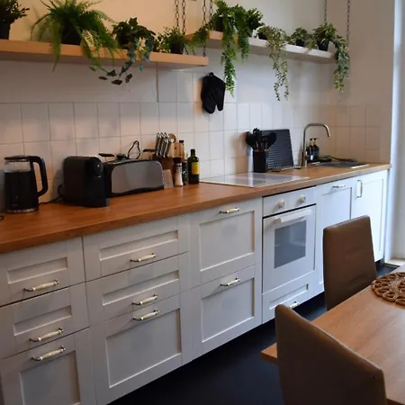 Апартаменты Charmanter Altbau In Schleussig Mit Balkon Лейпциг