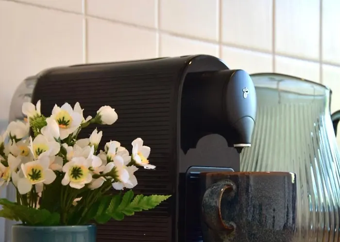 Charmanter Altbau In Schleußig Mit Balkon Leipzig