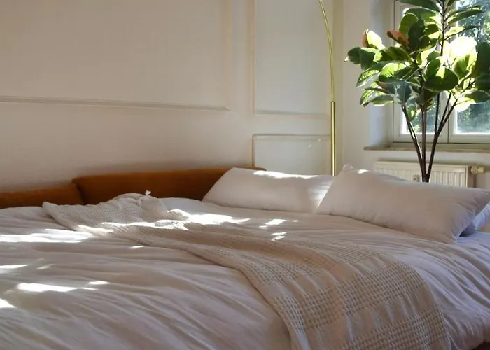 Апартаменты Charmanter Altbau In Schleussig Mit Balkon