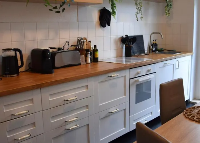 Appartement Charmanter Altbau In Schleussig Mit Balkon Leipzig